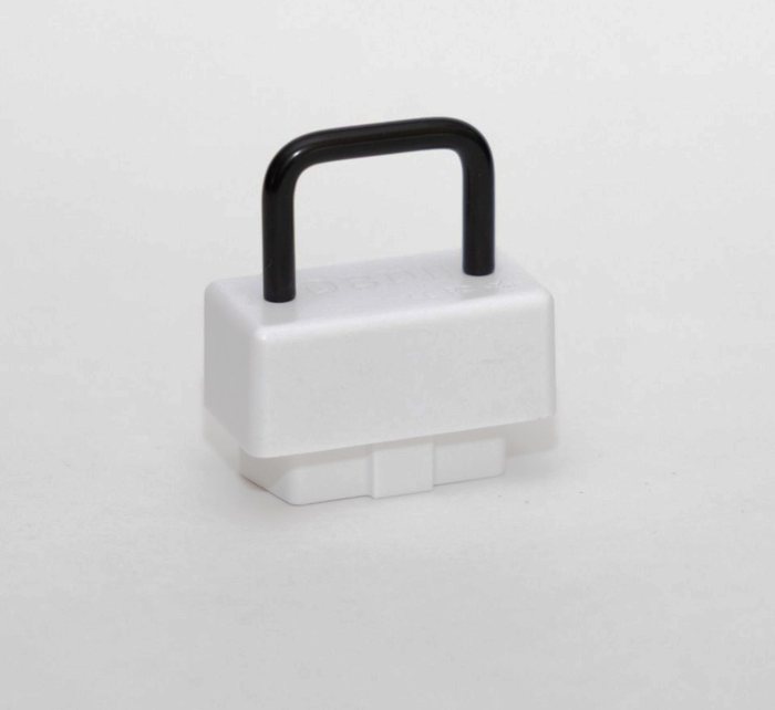 The AutoLingo for BMW adapter